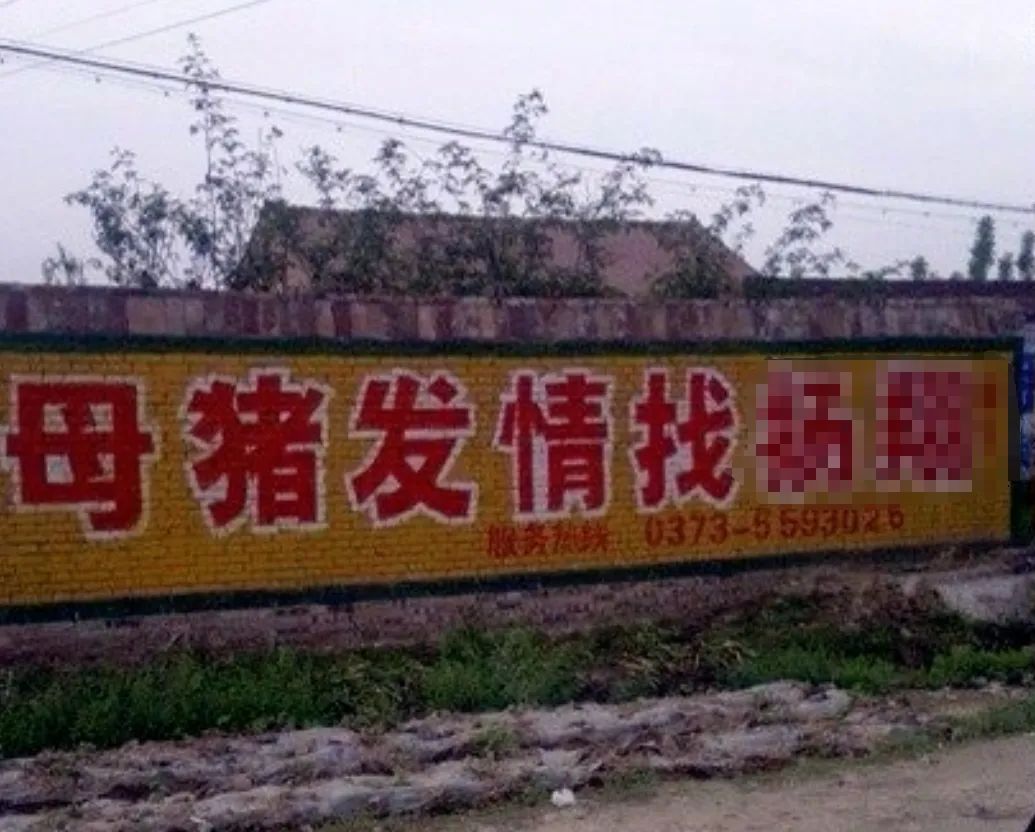 “三下乡”轮到AI，赛博“老头乐”来袭