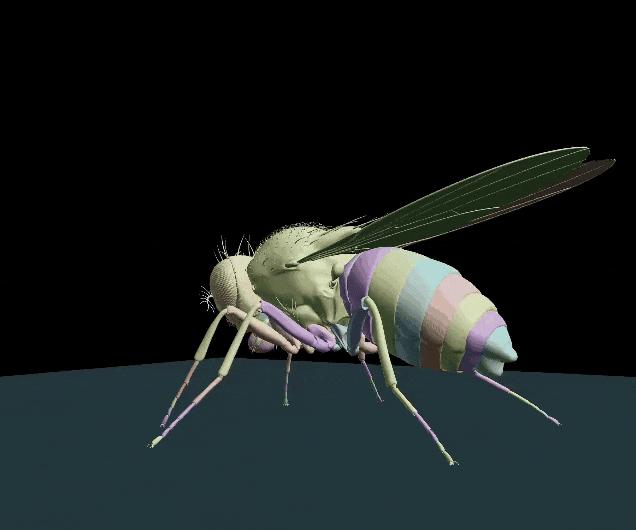 DeepMind果蝇登Nature,强化学习再立功,AI模拟飞行,逼真到腿毛颤抖