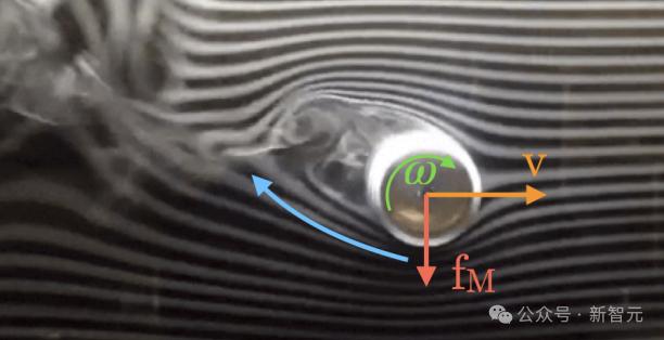DeepMind果蝇登Nature,强化学习再立功,AI模拟飞行,逼真到腿毛颤抖