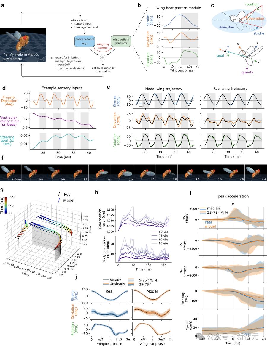 DeepMind果蝇登Nature,强化学习再立功,AI模拟飞行,逼真到腿毛颤抖