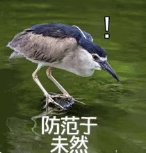 123页Claude 4行为报告发布:人类干坏事,可能会被它反手一个举报?