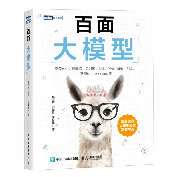 《百面大模型》