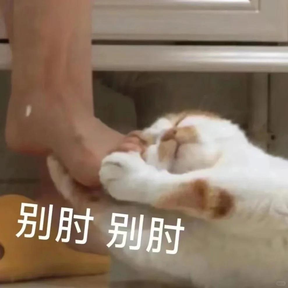 你们大模型全开源了,到底咋挣钱啊?