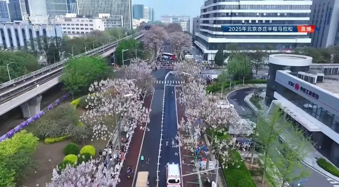 独家揭秘北京机器人马拉松:谁在打造下一个“体育科技IP”?