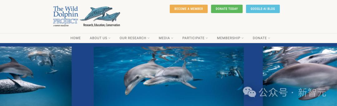 谷歌AI成功破解海豚语,海洋版ChatGPT来了,掀人类跨物种交流革命