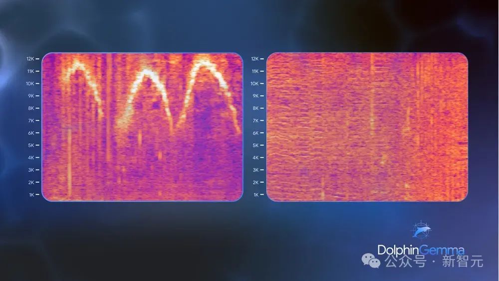谷歌AI成功破解海豚语,海洋版ChatGPT来了,掀人类跨物种交流革命