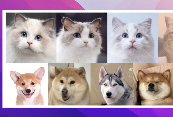 AI动态表情制作教学!无模板限制 随意动~