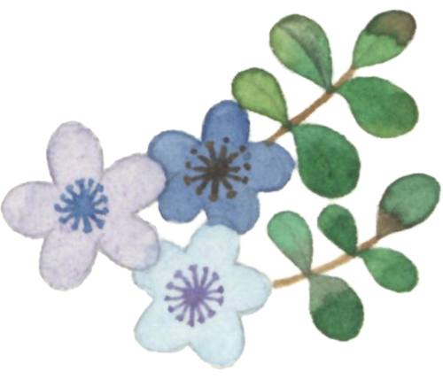 PPT过时了？看智慧教师如何用DeepSeek玩转课堂动画