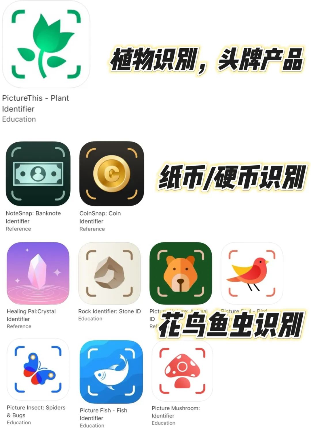 中国最低调的AI应用工厂,上线19个产品,年收入超10亿