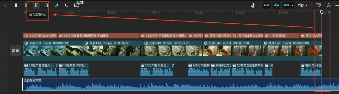 十五分钟,AI助你生成爆火科普生物进化史(手把手教你玩转AI)