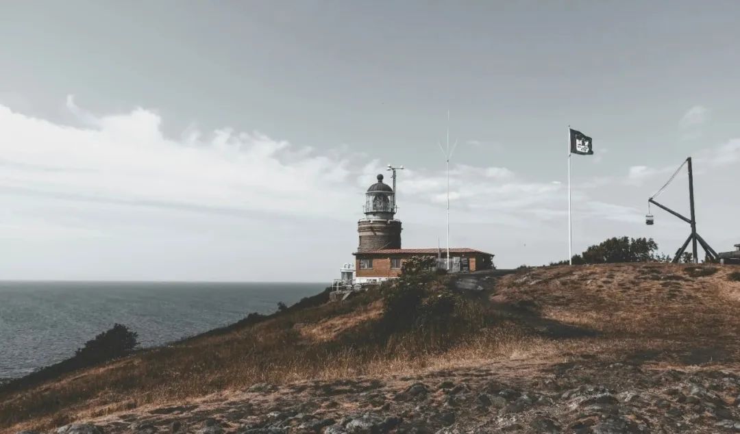 AI版权全球治理观察