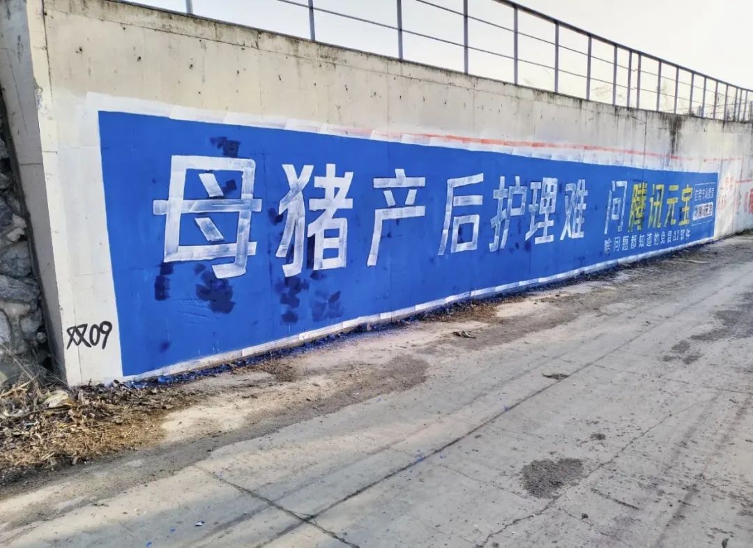 “三下乡”轮到AI，赛博“老头乐”来袭