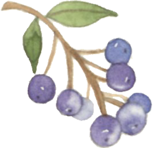 PPT过时了？看智慧教师如何用DeepSeek玩转课堂动画