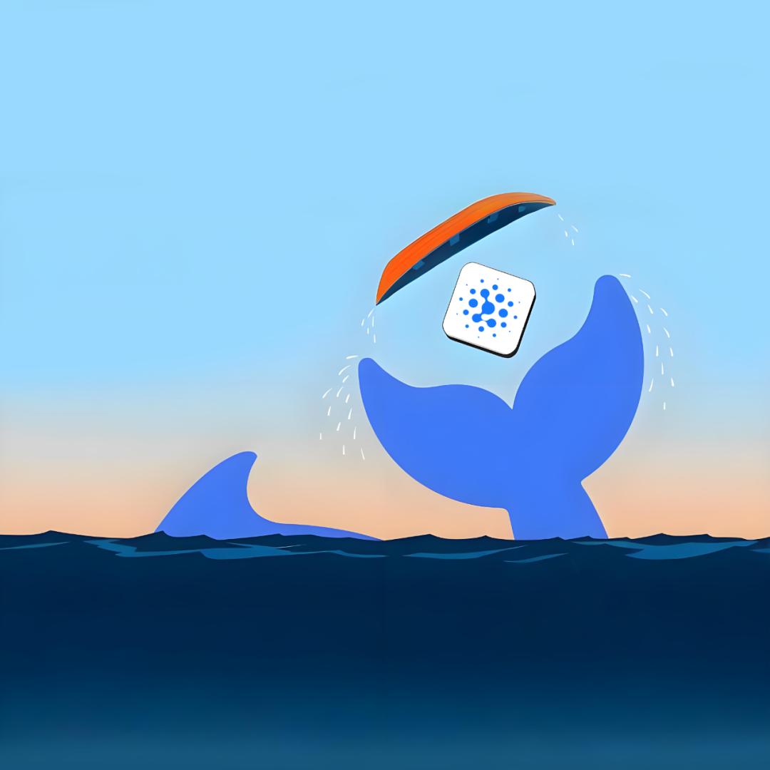 后DeepSeek时代：六小虎向左，BAT向右