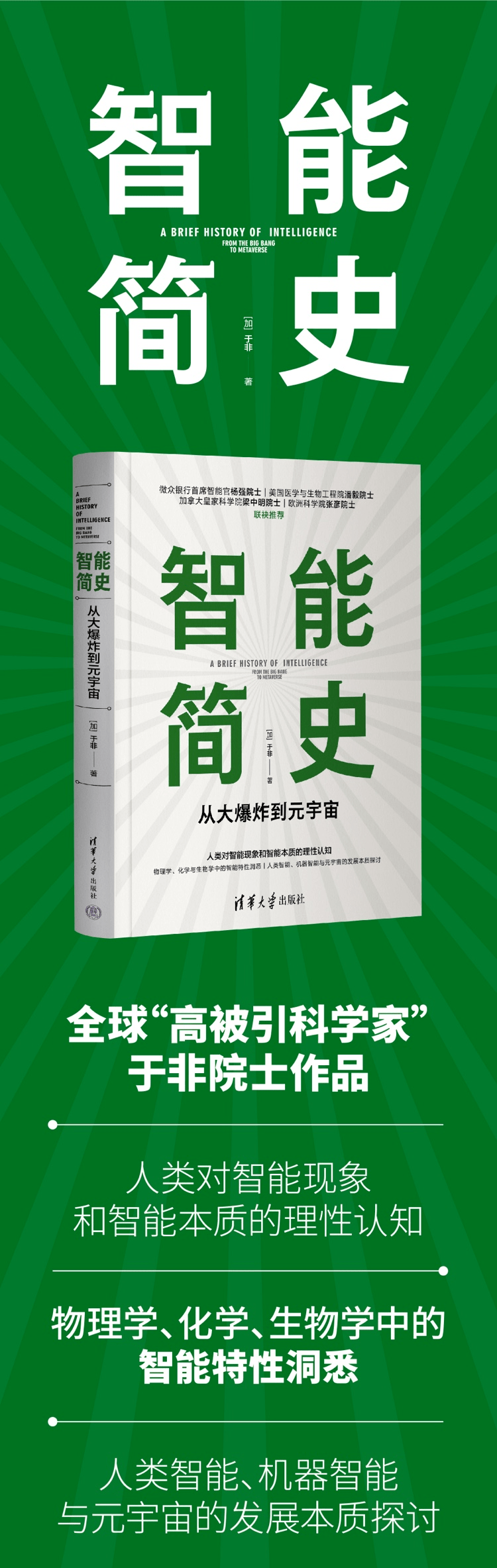 《智能简史：从大爆炸到元宇宙》