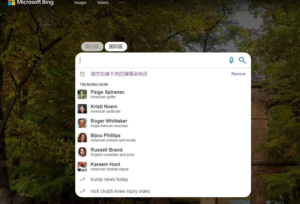 newbing使用教程 newbing电脑端及手机版操作教学