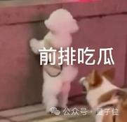 OpenAI：GPT-5就是All in One，集成各种产品