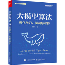 《大模型算法：强化学习、微调与对齐》（全彩）