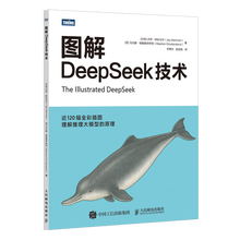 《图解DeepSeek技术》