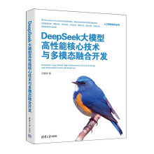 《DeepSeek大模型高性能核心技术与多模态融合开发》